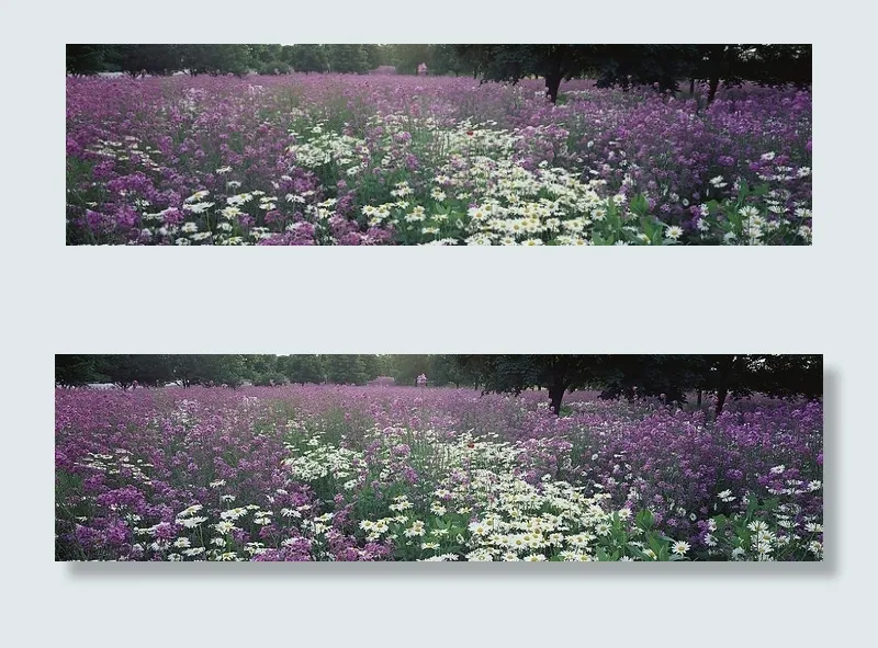 大幅风景图片