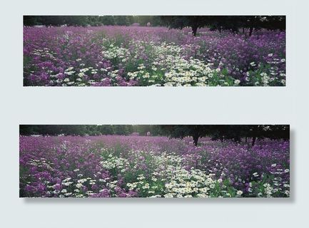 大幅风景图片 大幅风景图片