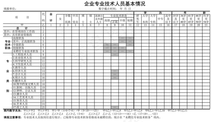 企业专业技术人员基本情况表