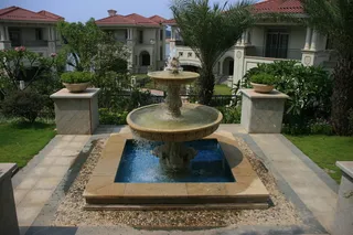 万科 佛山 天鹅湖 地产 别墅 欧...