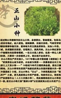 茶叶简介图片cdr矢量模版下载