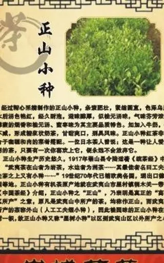 茶叶简介图片