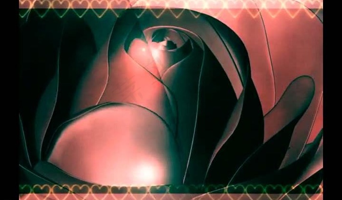 婚礼视频素材图片