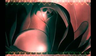 婚礼视频素材图片