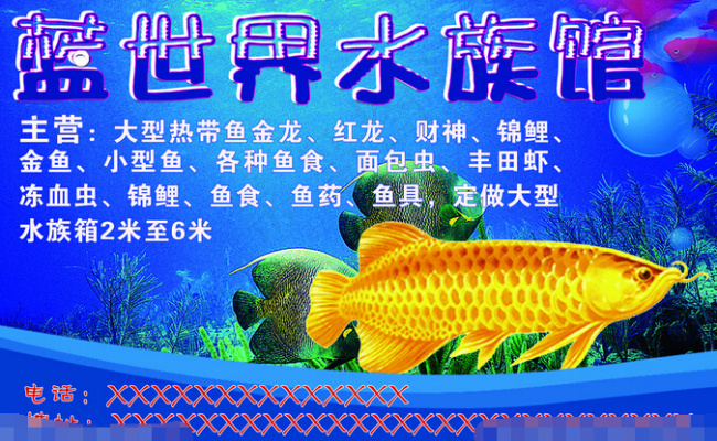 海底水水族馆彩页