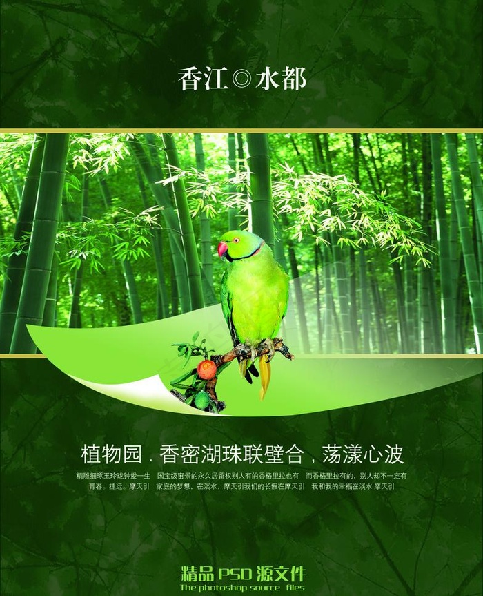 绿色竹林鹦鹉创意设计图片(2803X3661(DPI:300))psd模版下载