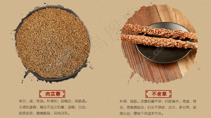 补肾胶囊成分介绍 肉苁蓉、不老草psd模版下载