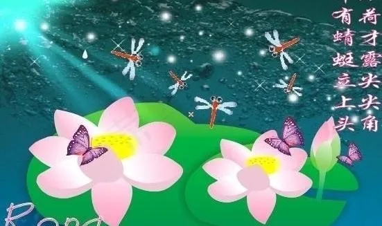 荷花图片cdr矢量模版下载