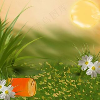 草地上的花朵与易拉罐图片