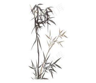 手绘简约竹PNG元素