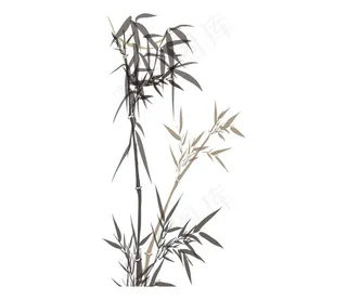 手绘简约竹PNG元素