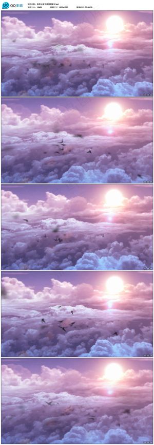 云海翻腾鸟儿飞翔太阳光芒高清视频