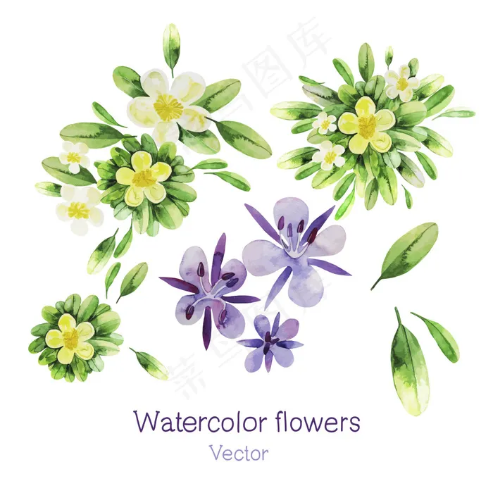 水彩植物ai矢量模版下载