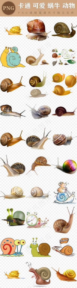 手绘卡通攀爬外壳蜗牛超可爱动物高清...