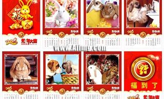 2011兔年精美挂历矢量素材