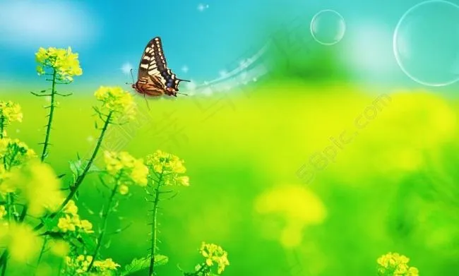 春天图片(2953X1943(DPI:300))psd模版下载