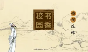 校书图片