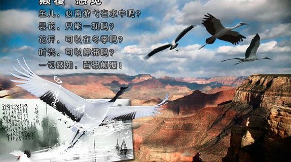 无框画淘宝图片