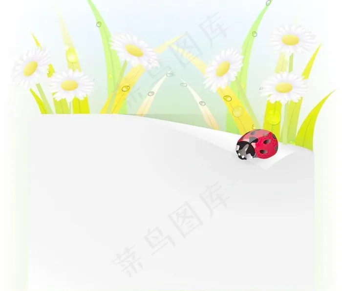 动感绿叶鲜花瓢虫 水珠水滴图片eps,ai矢量模版下载