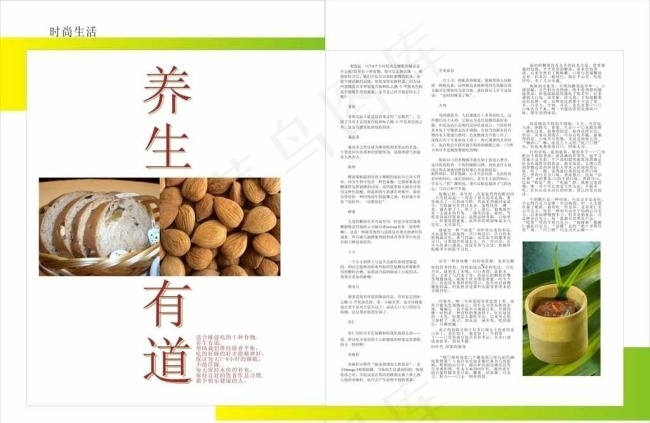 营养杂志版面设计图片cdr矢量模版下载