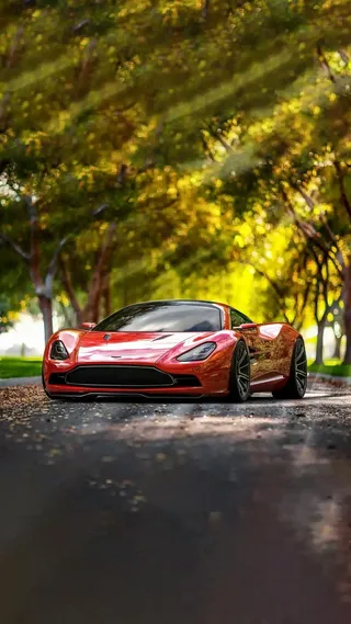 浓密的树下红色跑车高清摄影图片