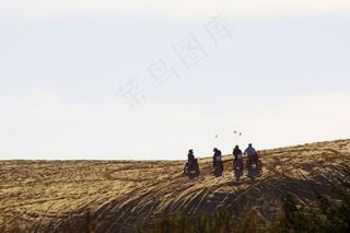 沙丘-自行车比赛