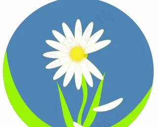 市爱的花瓣矢量图像