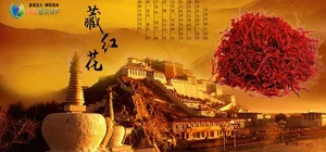 藏红花图片