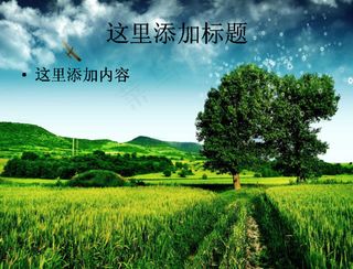 很有感觉的唯美植物图片大全(9)...