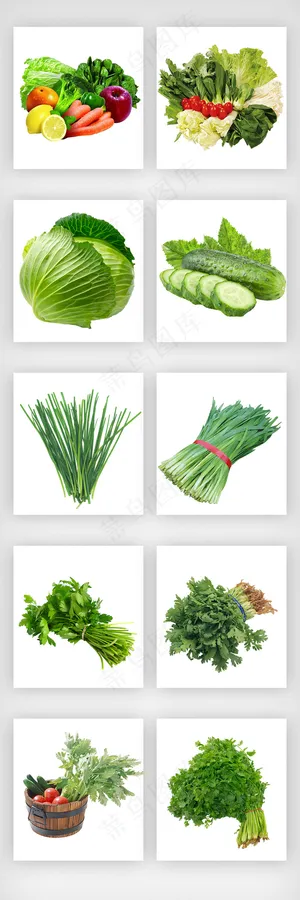 蔬菜实物设计元素 蔬菜实物设计元素