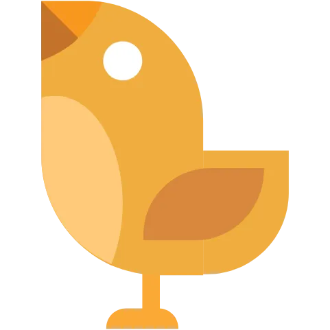 动物 鸟 飞 自然