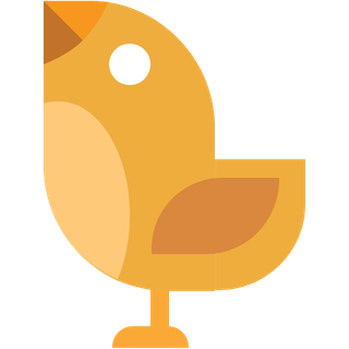 动物 鸟 飞 自然