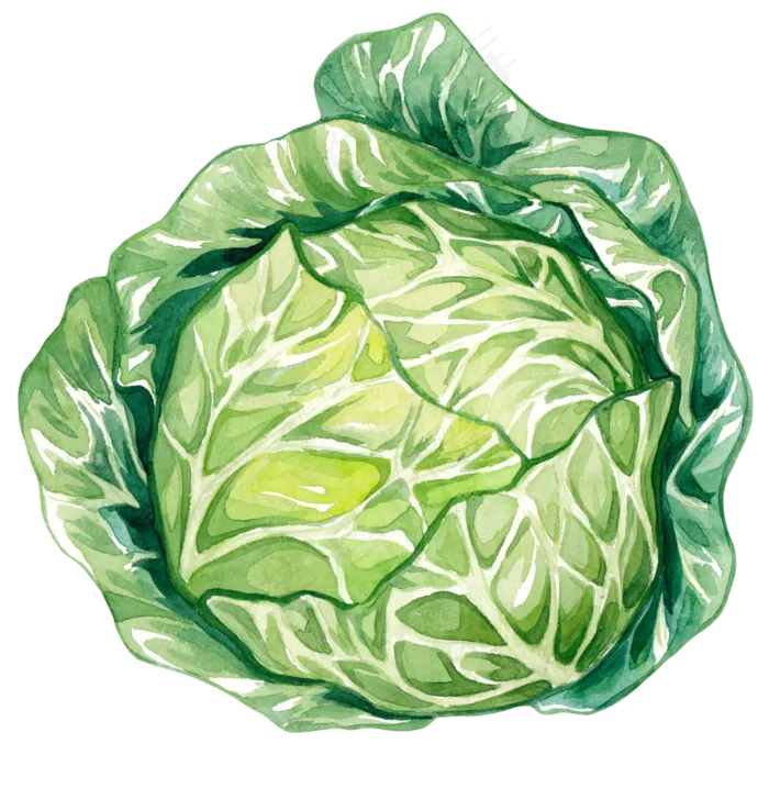 清新手绘蔬菜瓜果png免扣设计元素(2657X2722)