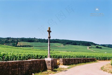 世界著名葡萄庄园图片