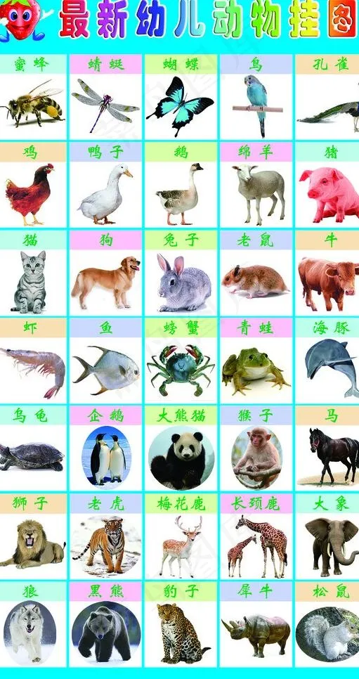 幼儿动物挂图图片(6000X10800(DPI:305))psd模版下载