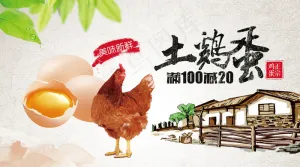 2018年公鸡乡村土鸡蛋微信主图免...