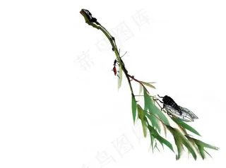 水墨昆虫2图片