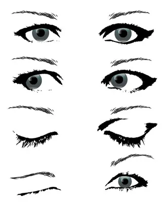 人的眼睛矢量素材包