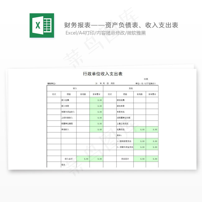 财务报表——资产负债表、收入支出表