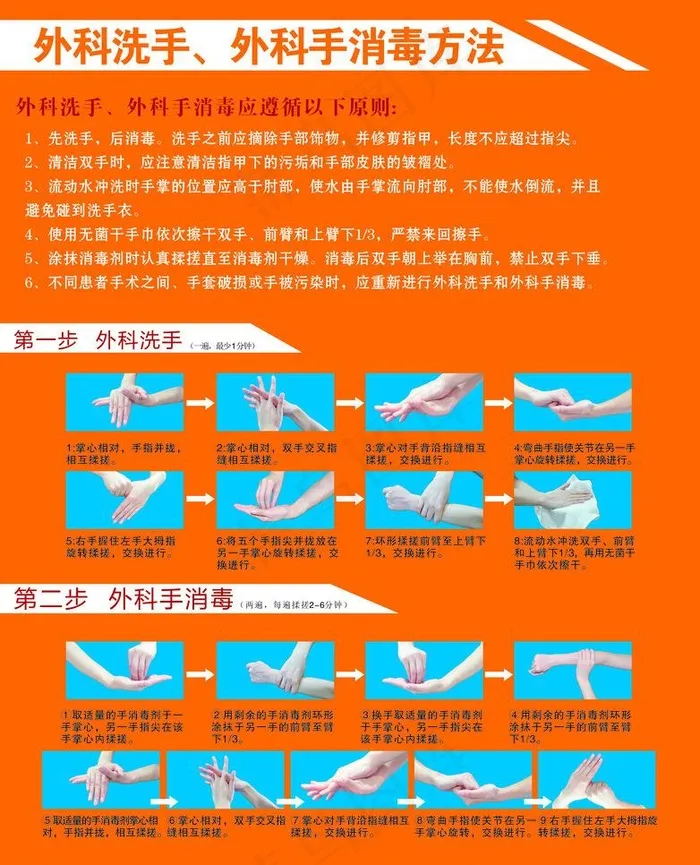 外科规范洗手步骤图片(841X1189)cdr矢量模版下载