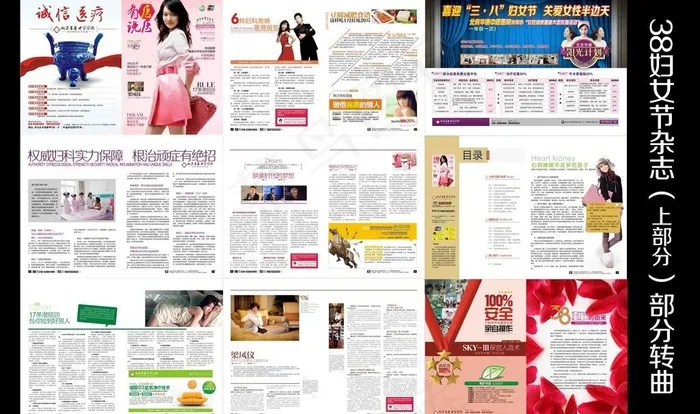 38妇女节杂志 医院杂志 医疗杂志...(376X266)cdr矢量模版下载