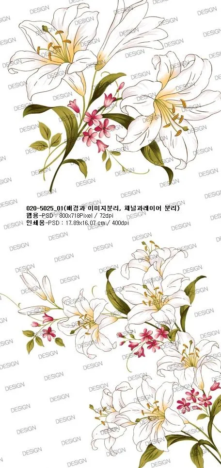 手绘百合花psd分层素材psd模版下载