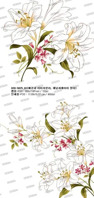 手绘百合花psd分层素材 手绘百合花psd分层素材