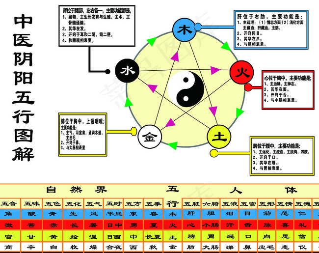 中医阴阳五行图图片