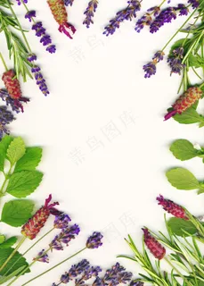 一个由草药框架(薰衣草和迷迭香)在... 一个由草药框架(薰衣草和迷迭香)在...