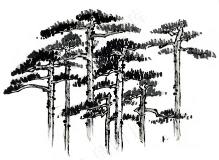 水墨松树 水墨松树