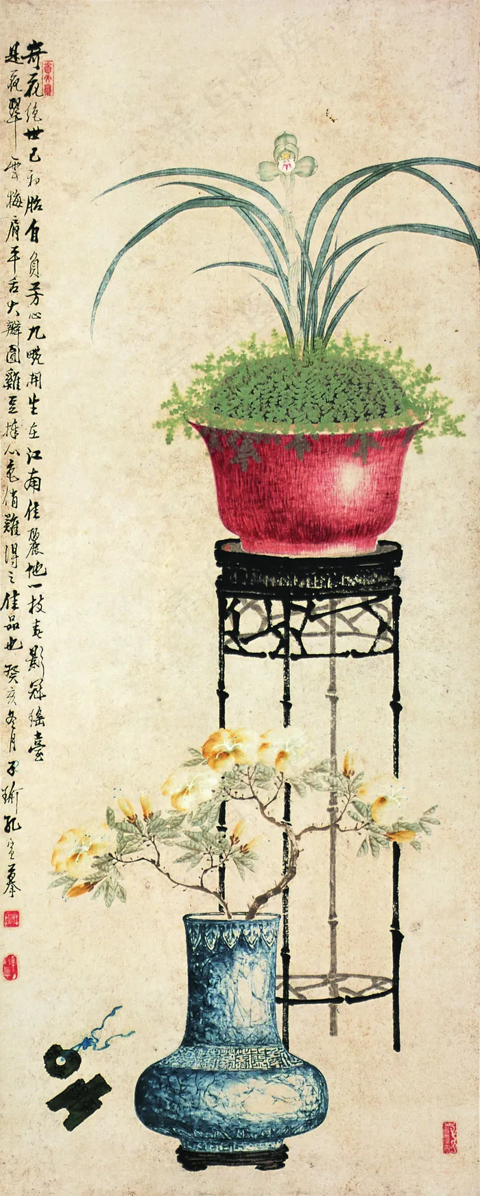 奇花异草