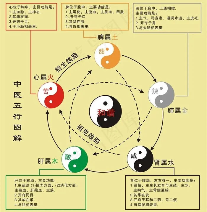 中医五行图图片cdr矢量模版下载