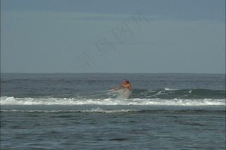 拉罗汤加人网捕鱼礁股票视频 视频免...