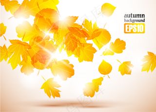 秋天的树叶矢量素材